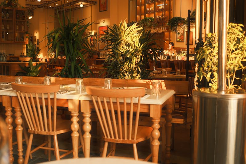 Outdoor catering setup for company picnic